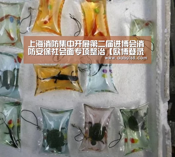 上海消防集中开展第二届进博会消防安保社会面专项整治【欧博登录app】(图2) 欧博登录app